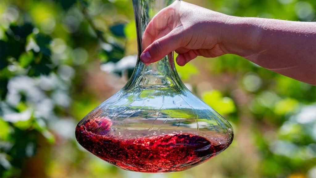 Hand swirling decanter with red wine next to grapes.